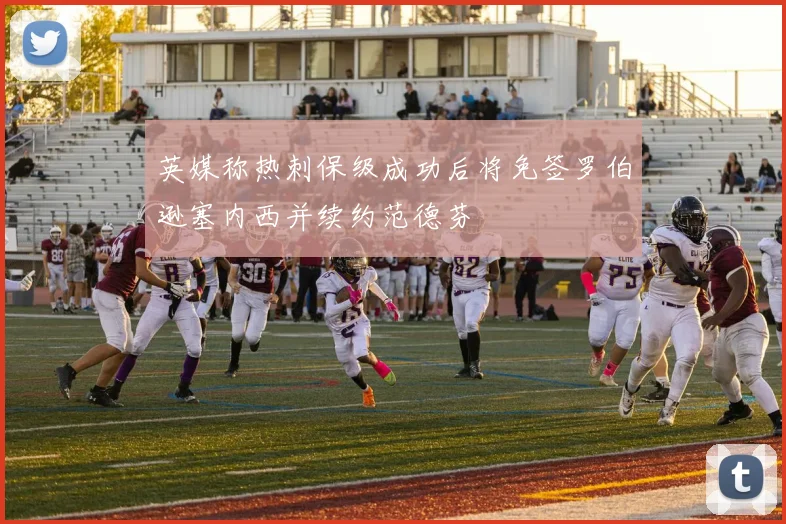 英媒称热刺保级成功后将免签罗伯逊塞内西并续约范德芬