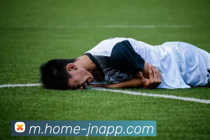 体育数据展示