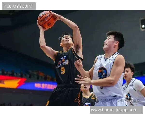 张家口体文旅篮球俱乐部全景解析NBL球队巡礼第4期精彩亮点与发展前景